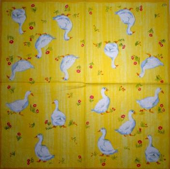 078 Enten - 3-lagig (gelb) - Ihr - CS
