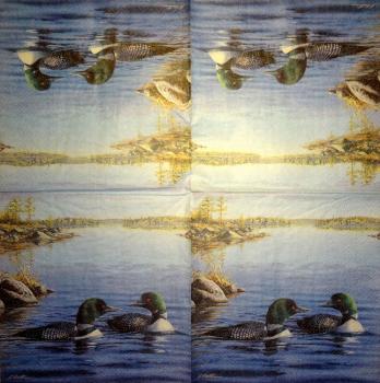196 Ducks - 3-ply - Highland - Künstler - CS