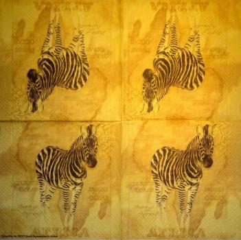002 Zebra - 3-ply - Converting / Gosia Gajewska 2007 - CS