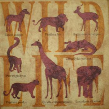074 Animals Africa: Divers - 3-ply - Ti-Flair