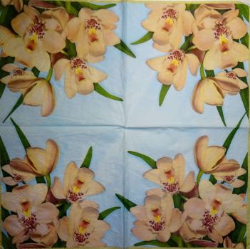 082 Orchids - 3-ply (blue) - Paw