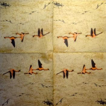 018 Stork - 3-ply