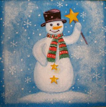 029 Schneemann - Colourful Life