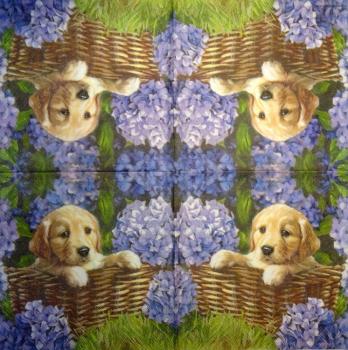 237 Dogs - 3-ply - Ambiente