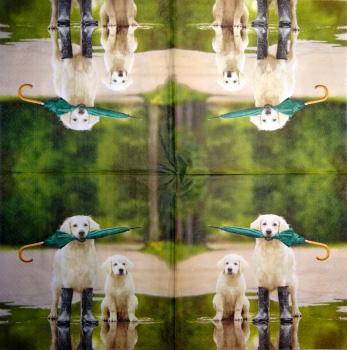 238 Hunde - 3-lagig