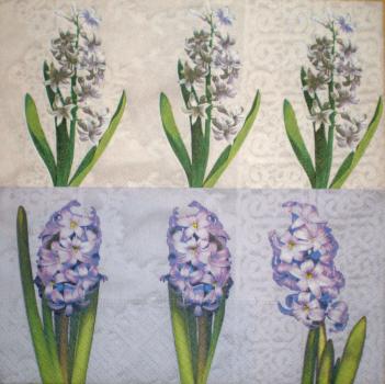 008 Daffodils,  Hyacinths,  Maiglöckchen, Crocus
