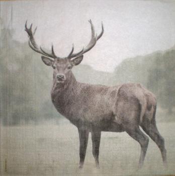 037 Deer - 3-ply - Shutterstock