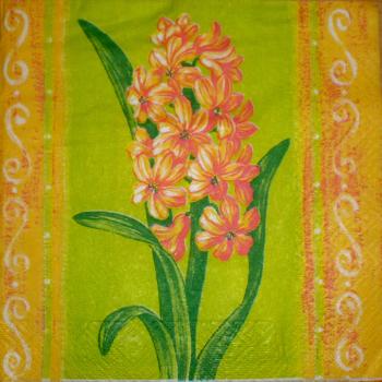 009 Daffodils,  Hyacinths,  Maiglöckchen, Crocus (orange)