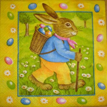 065 Rabbits:  unnatürlich - 3-ply (yellow/blue) - Ti-Flair