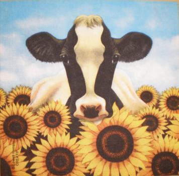 019 Kühe - 3-ply - ppd - Lowell Herrero