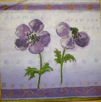 005 Anemones, Poppy - Ti-Flair