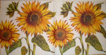 023 Sunflowers - 3-ply (cream)