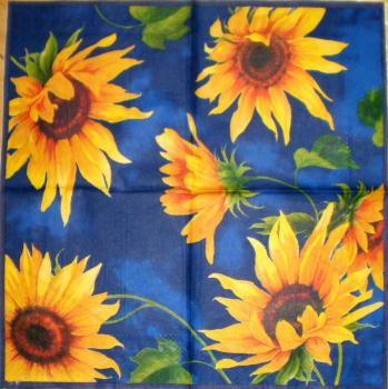034 Sunflowers - 3 ply (blue) - Ihr
