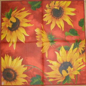 034 Sunflowers - 3 ply (red) - Ihr
