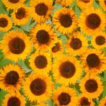 044 Sonnenblumen - 3-lagig - Paper Design