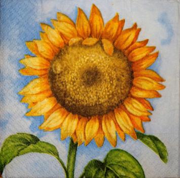 048 Sunflowers - 3-ply (blue) - Chris Piper - CS