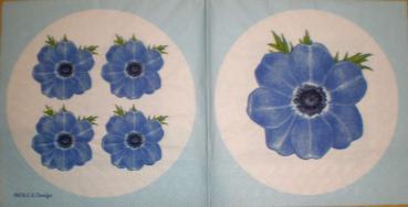 012 Anemones, Poppy (blue) - MOLCA