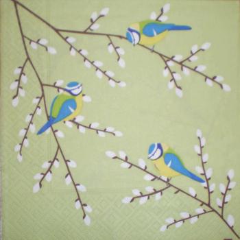 023 Vögel