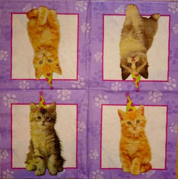143 Katzen - 2-lagig - Creative Converting