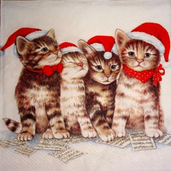 155 Cats - 3-ply - Ambiente