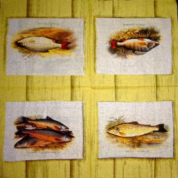 010 Fische - 3-lagig - Ihr - V&A Museum