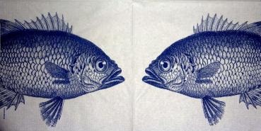012 Fische - 3-lagig (blau) - ppd - Paula Scaletta