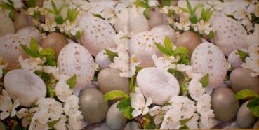 028 Eggs,  Easter Eggs