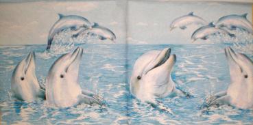 005 Delphin / Wal / Hai - 3-lagig - Ihr