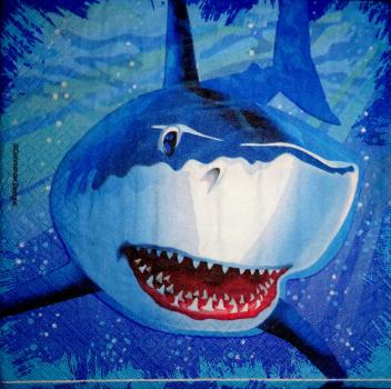 011 Dolphin / Whale / Shark - 3-ply - Converting - Commander