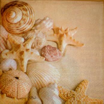 011 Shellfish - 3-ply - Paw