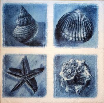 028 Shellfish - 3-ply