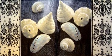 029 Shellfish - 3-ply - Avantgarde