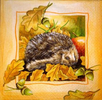 003 Tiere Herbst - Paper Design
