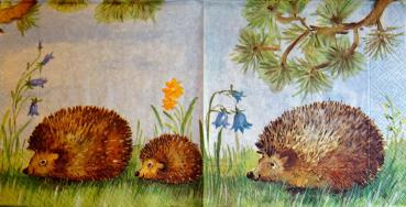 014 Animals Autumn - bright