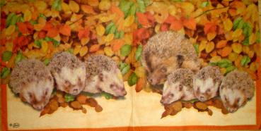 016 Animals Autumn (orange) - Ambiente