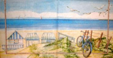 091 Maritim - Ambiente