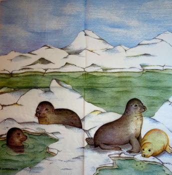 001 Seal / Seal - 3-ply - MOLCA