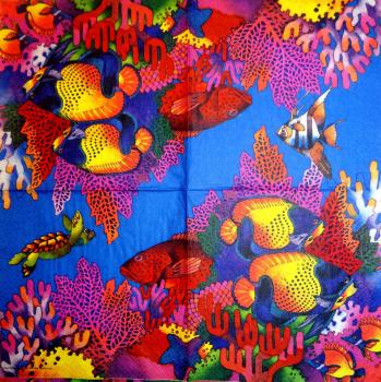 071 Fish - 3-ply - Converting - Amberjack 1998