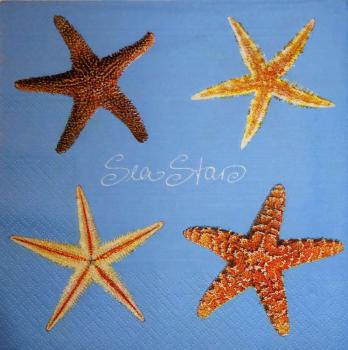050 Shellfish - 3-ply (bright) - Ti-Flair