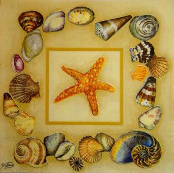 051 Muscheln - 3-lagig (braun) - Ambiente