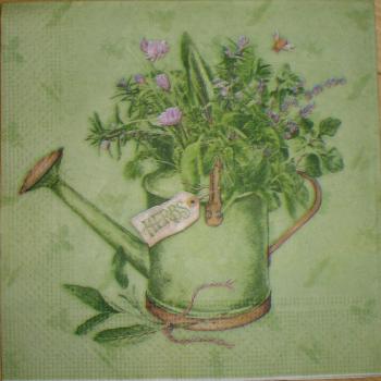 006 Kräuter (6)