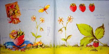 020 Beeren - 3-lagig (231A2) - Madame est Servie