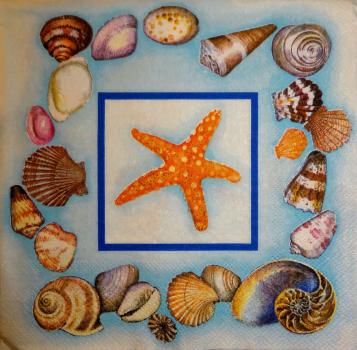 051 Muscheln - 3-lagig (blau) - Ambiente
