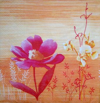 108 Asia (orange) - Madame est Servie