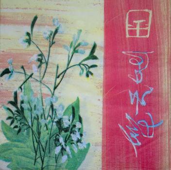 121 Asia (cream)