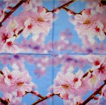 127 Asia - 3-ply - Paper Design