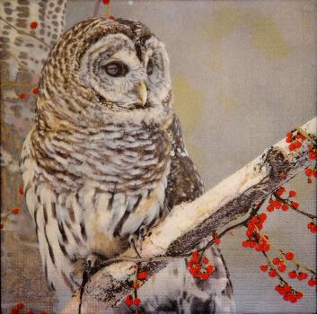 092 Owls - 3-ply - ppd - Shutterstock