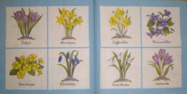 022 Daffodils - 3-ply