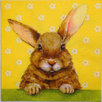 041 Rabbits:  natürlich - 3 ply - Atelier