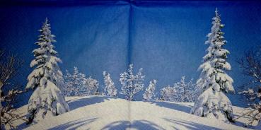 059 Winter Landscape - 3-ply - Home Fashion